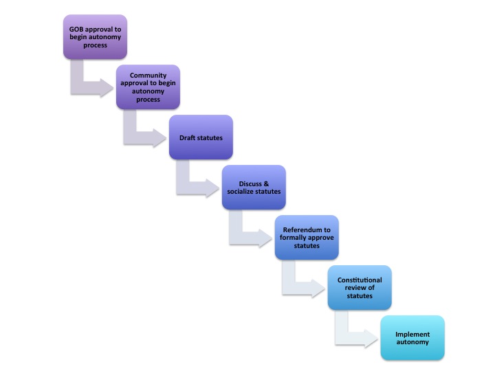 Autonomy Flow Chart